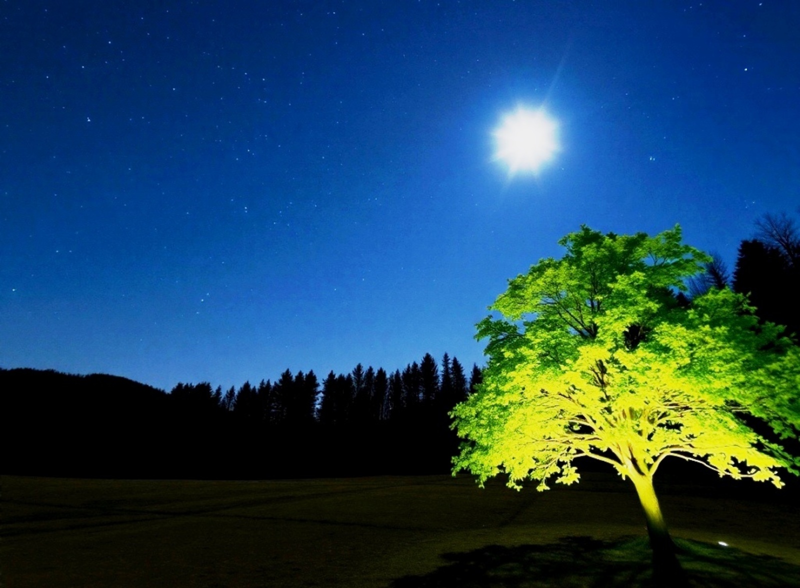 Изображение сгенерировано нейросетью