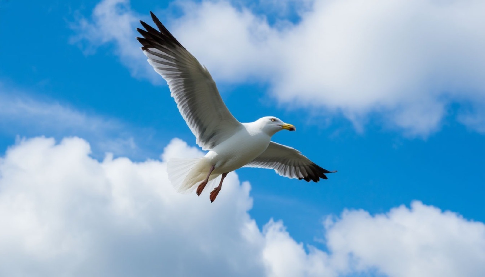 Изображение сгенерировано нейросетью