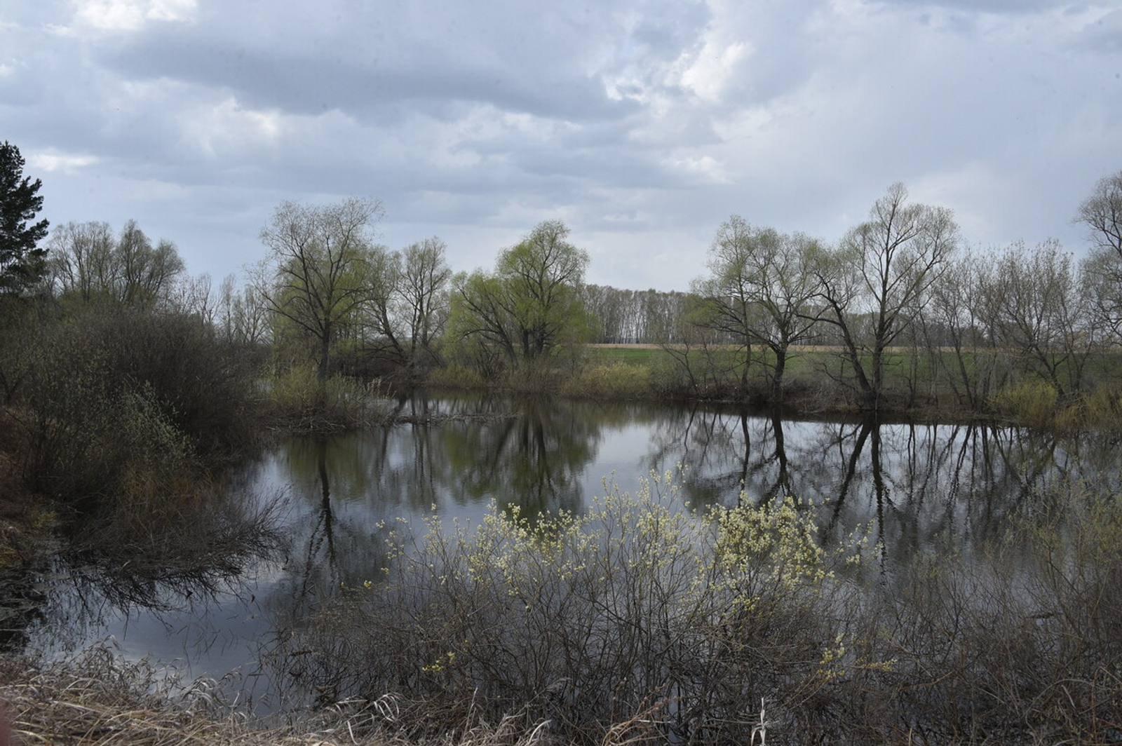 Динар Калимуллин Фотобанк СМИ РБ