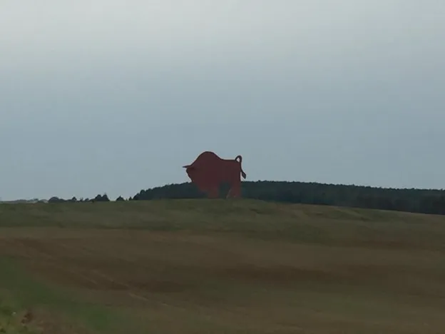 фото из архива автора