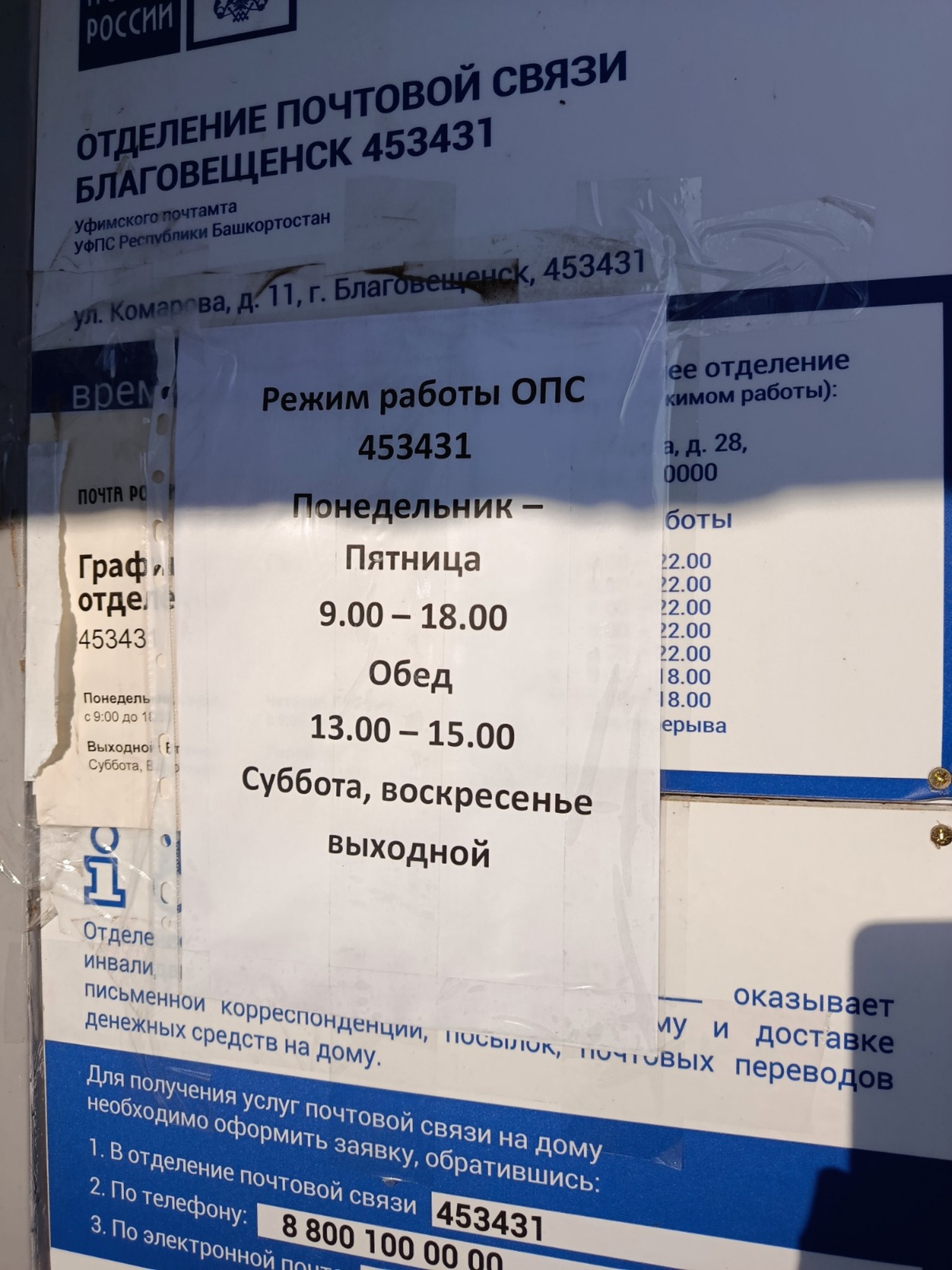 фото из архива автора