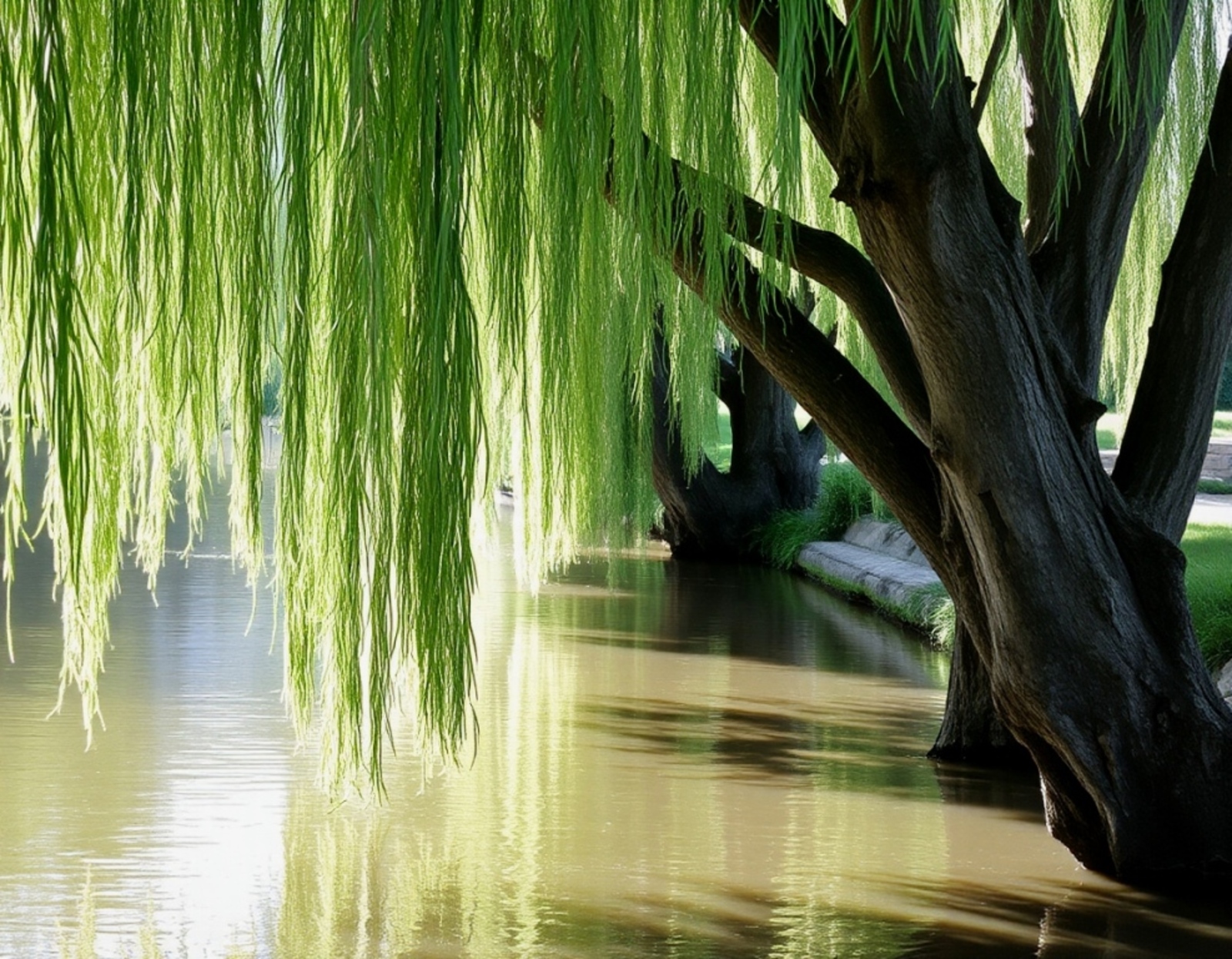 Изображение сгенерировано нейросетью