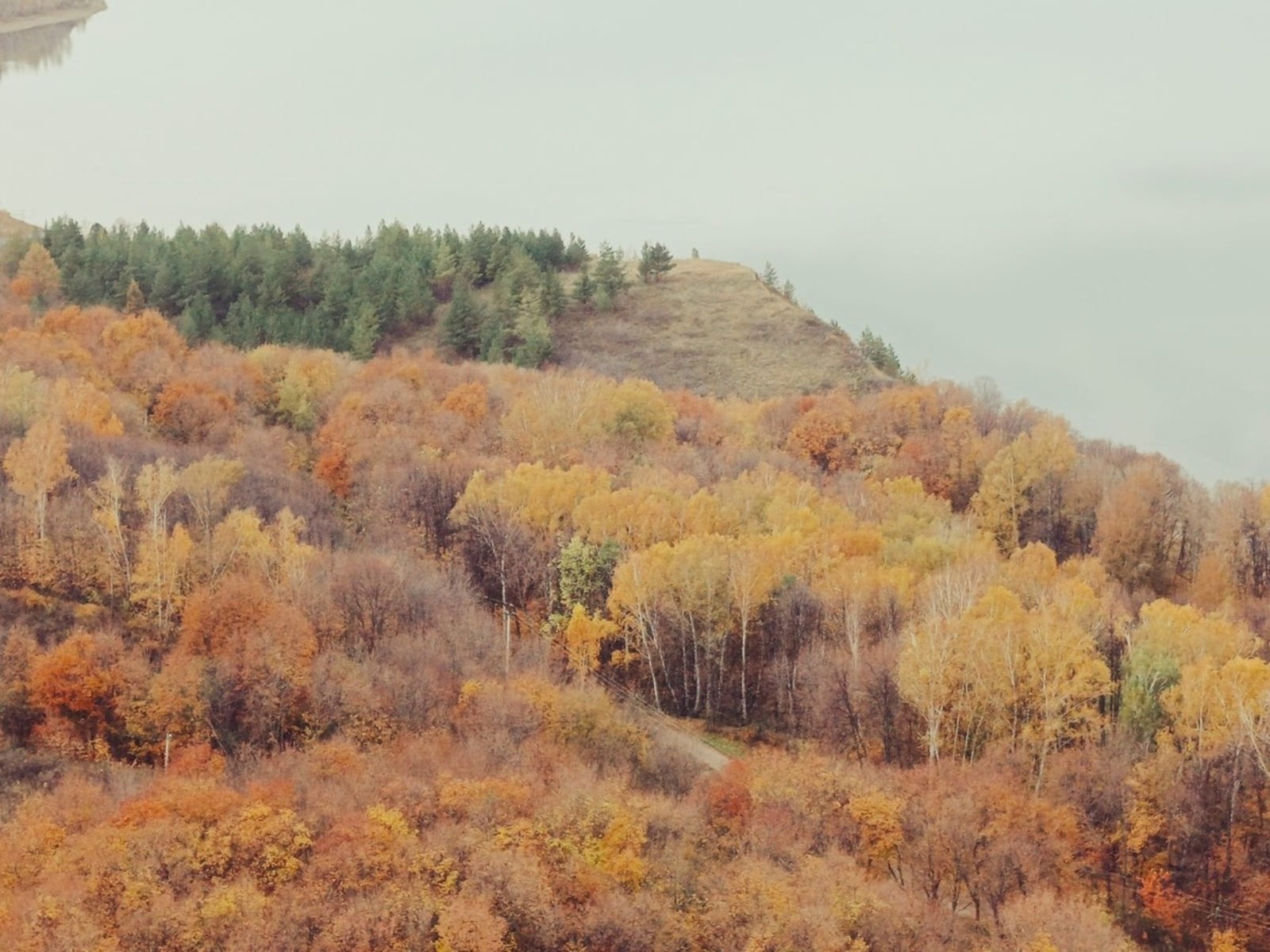 Розалия Хисаева Фотобанк СМИ РБ