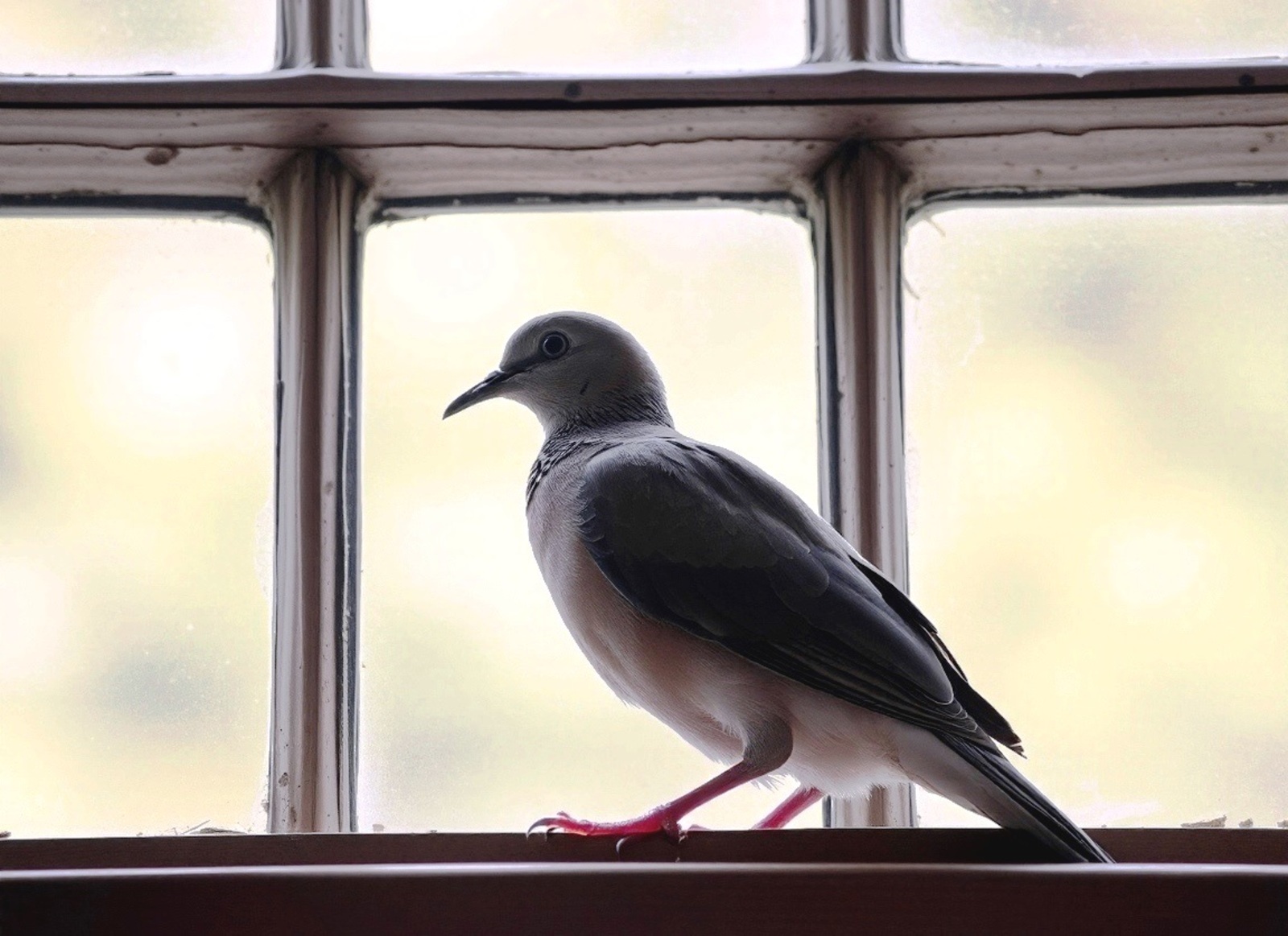 Изображение сгенерировано нейросетью