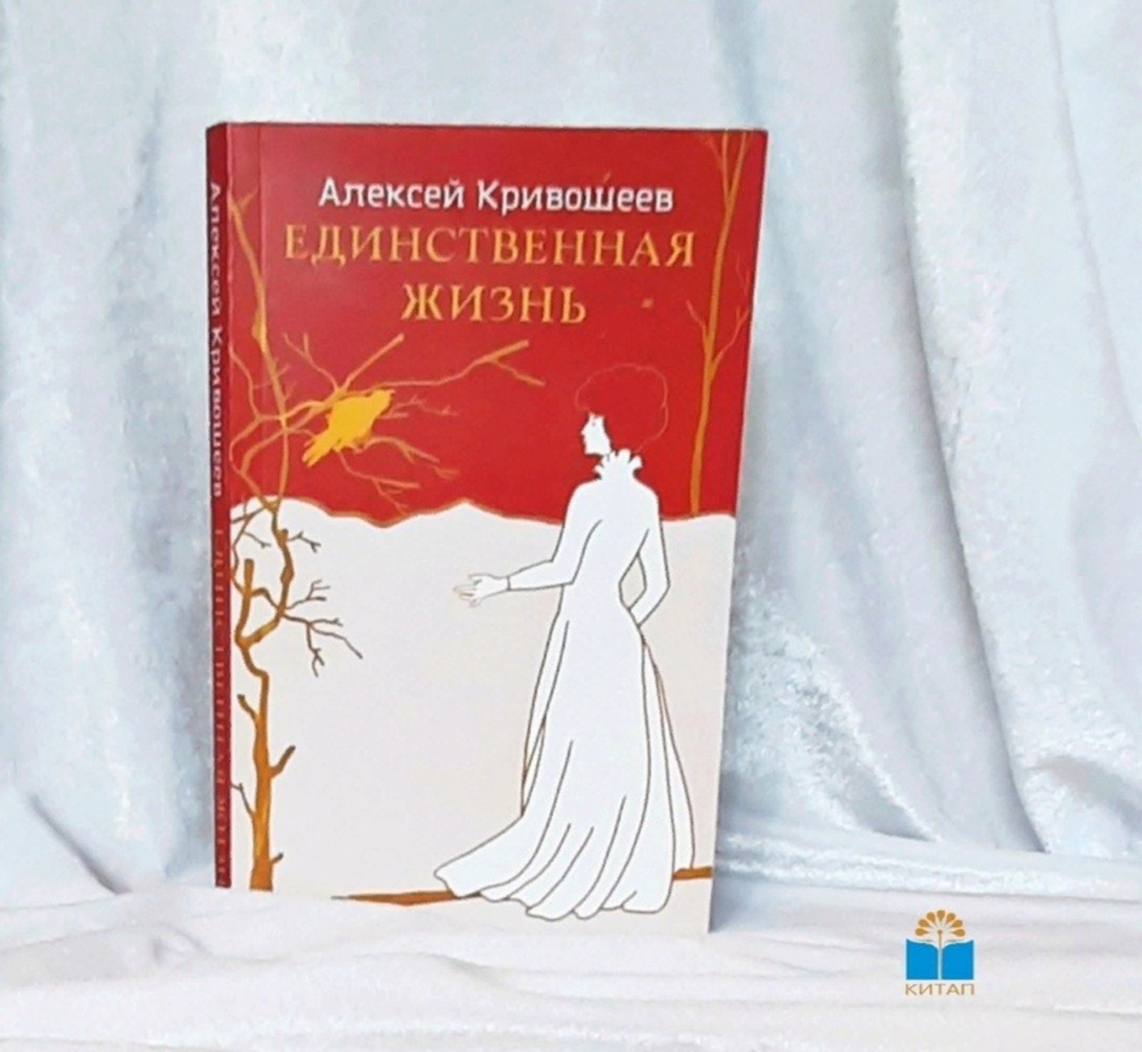 Официальная обложка книги