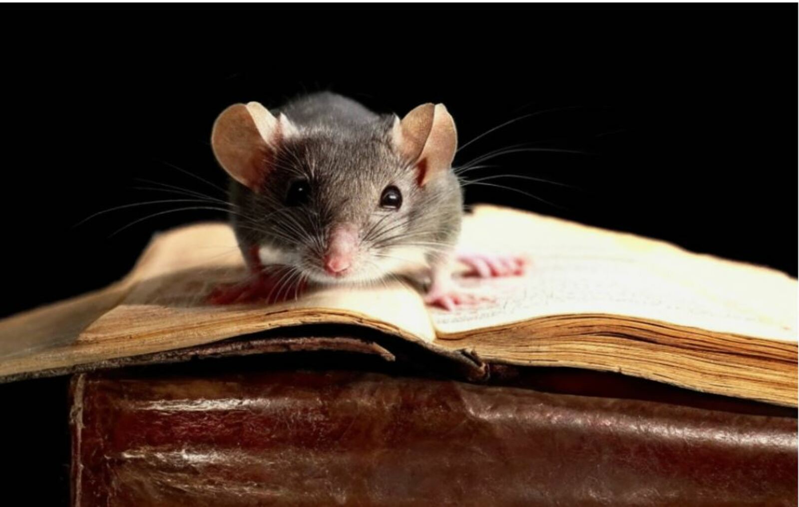 Изображение сгенерировано нейросетью