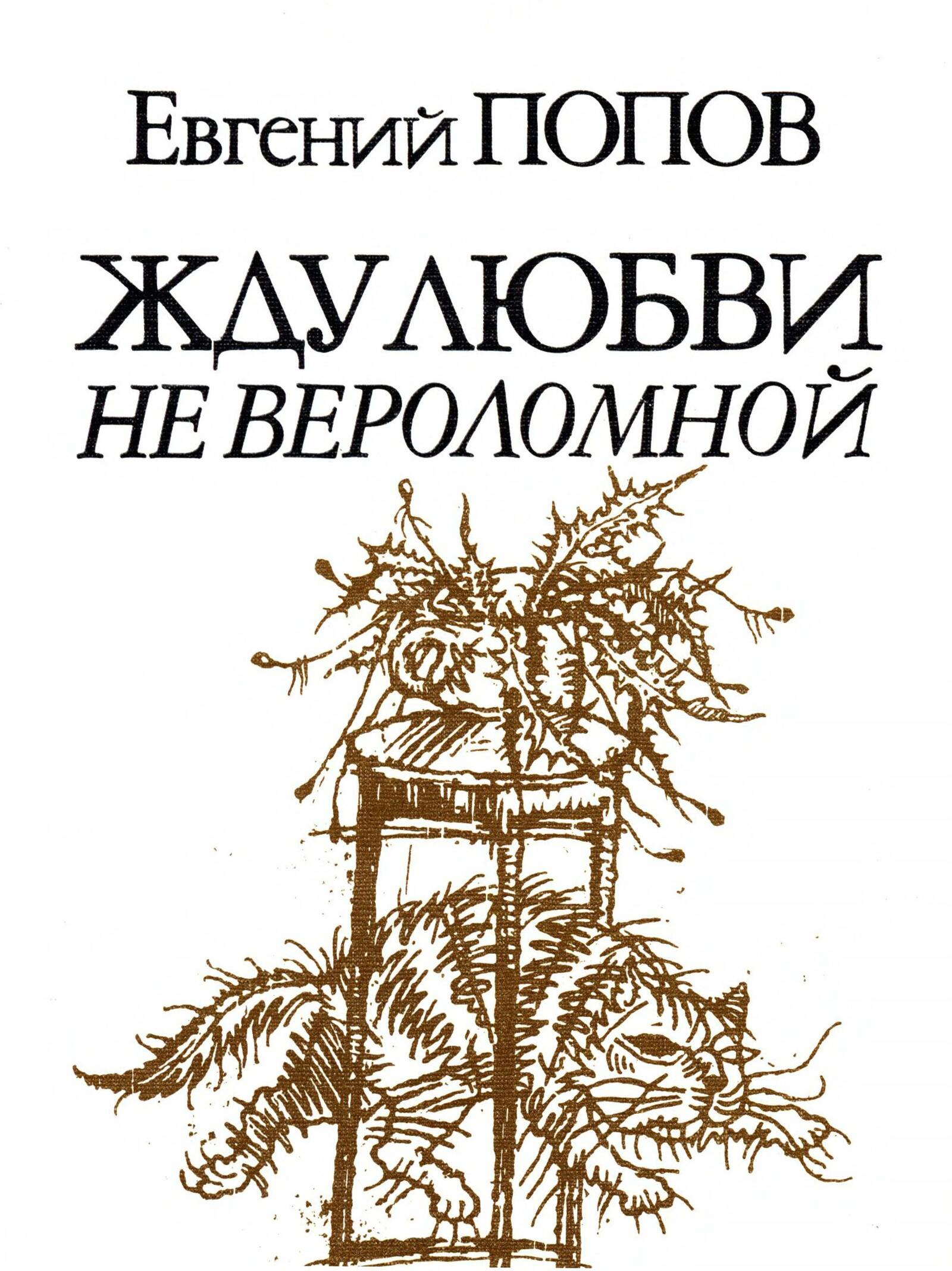 Официальная обложка книги