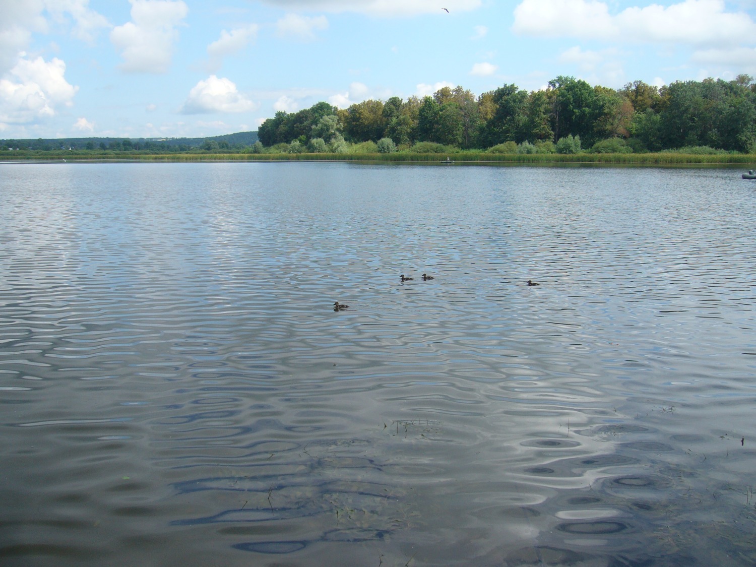 фото из архива автора