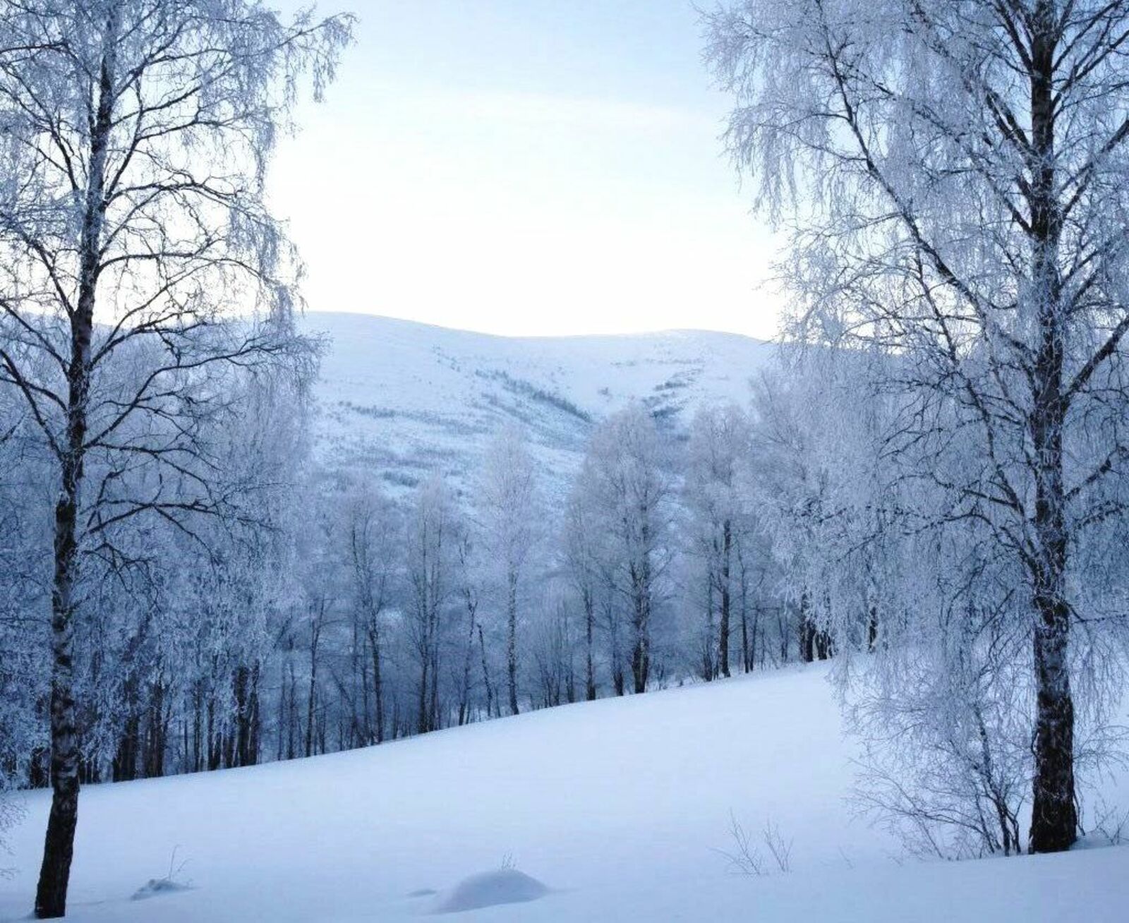 Изображение сгенерировано нейросетью