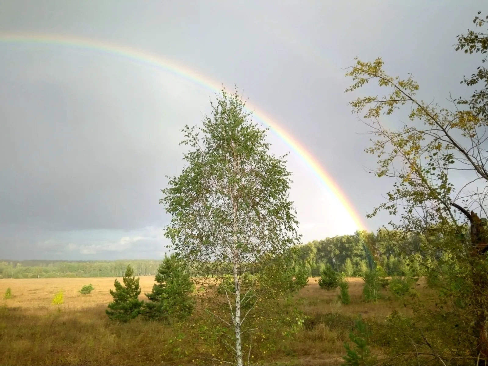 Фото: И. Л. Фомина (Светлый путь Бижбуляк) / Фотобанк СМИ РБ