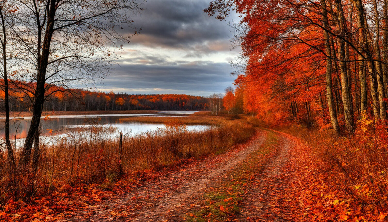 Изображение сгенерировано нейросетью
