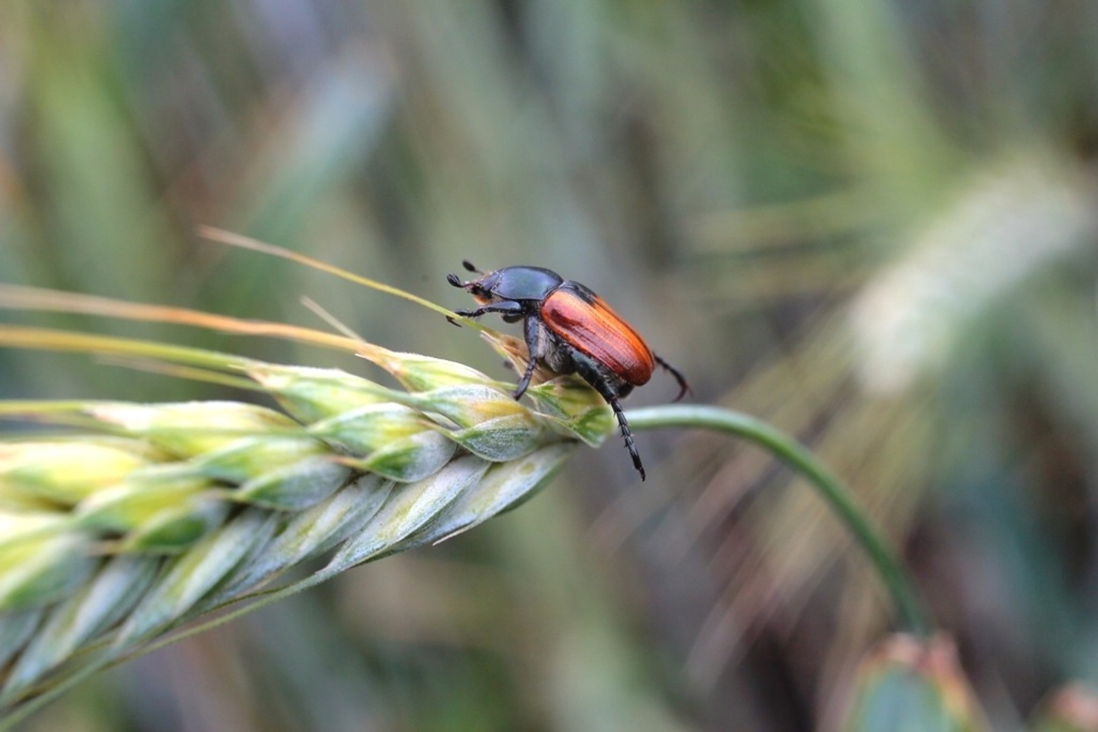 Александр Данилов Фотобанк СМИ РБ