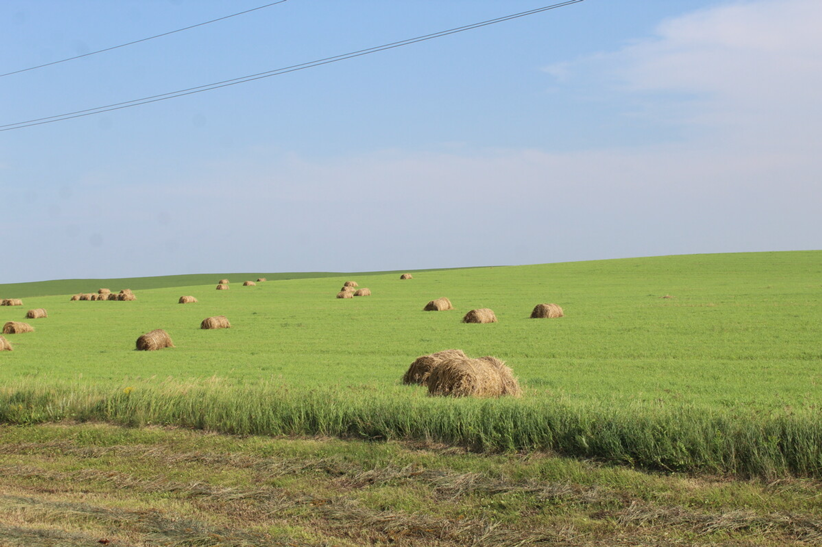 Гузель Кудашева (Аургазинский вестник) Фотобанк СМИ РБ