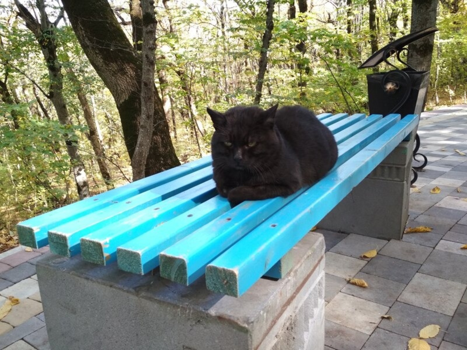 Азамат Абдрафиков Фотобанк СМИ РБ