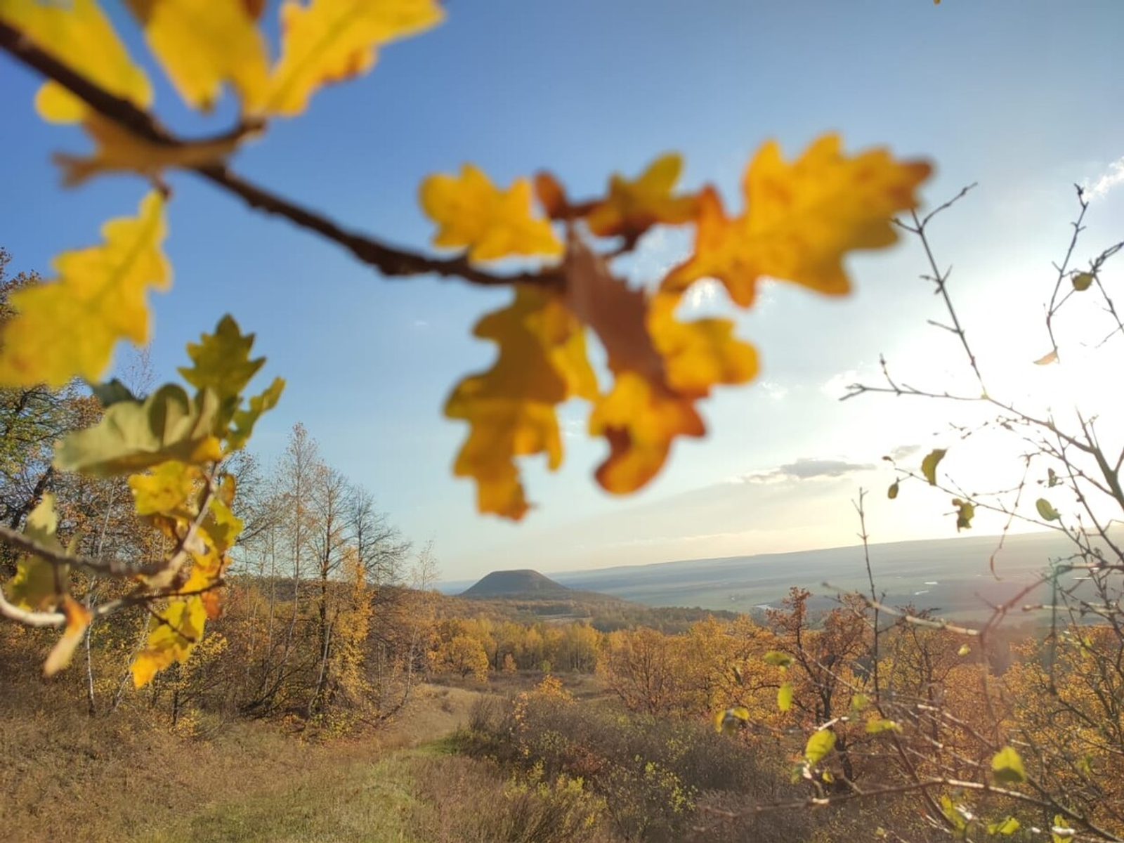 Фануза Салямова (Альшеевские вести) Фотобанк СМИ РБ