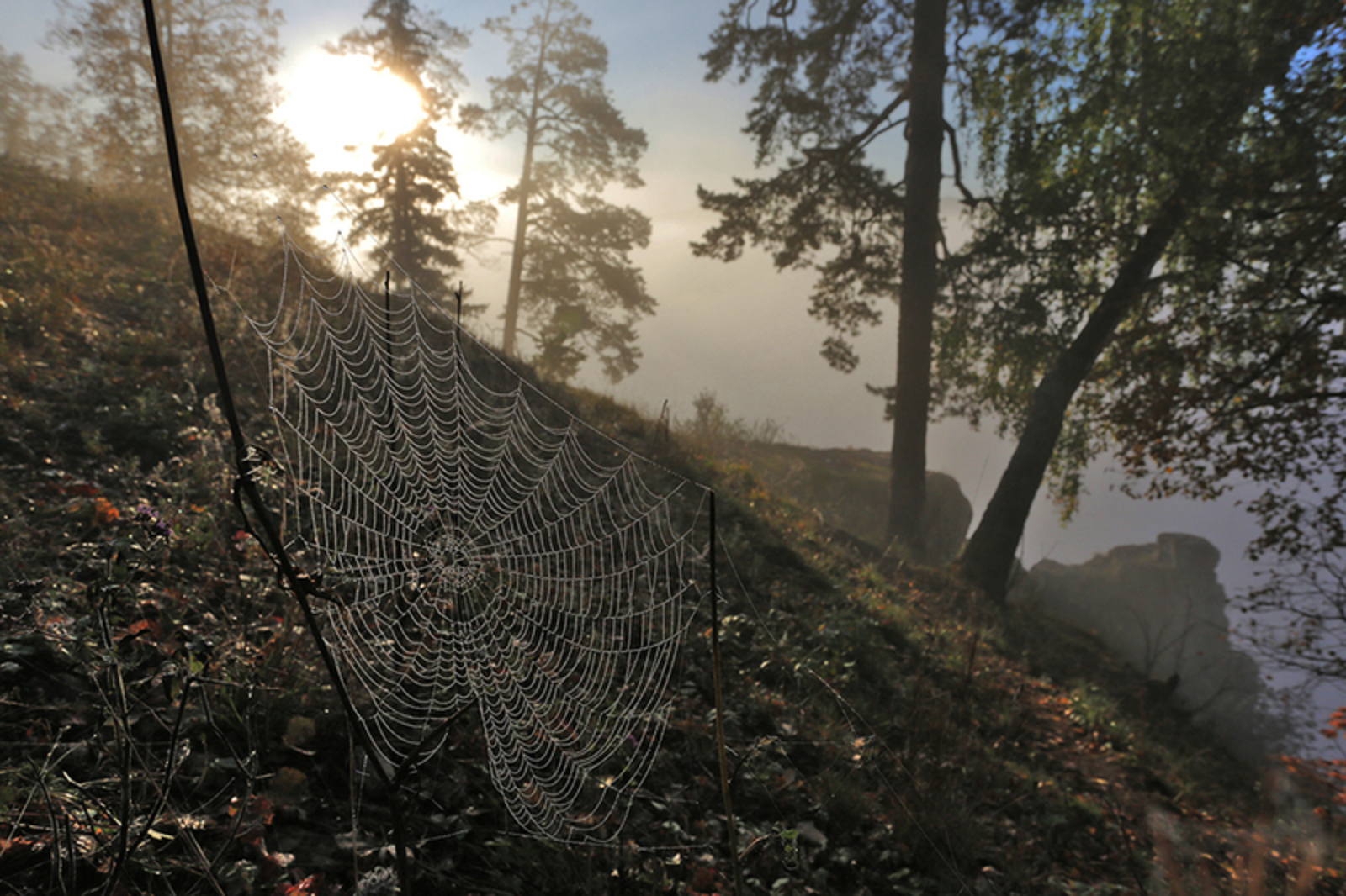 Александр Данилов Фотобанк СМИ РБ