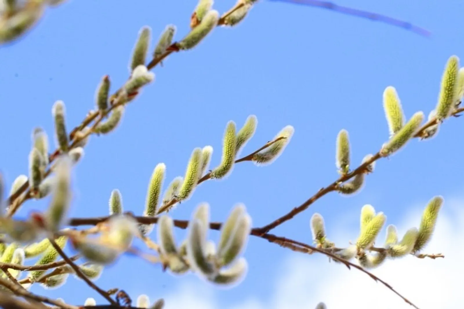 Виктор Лушкин (Октябрьский нефтяник) Фотобанк СМИ РБ