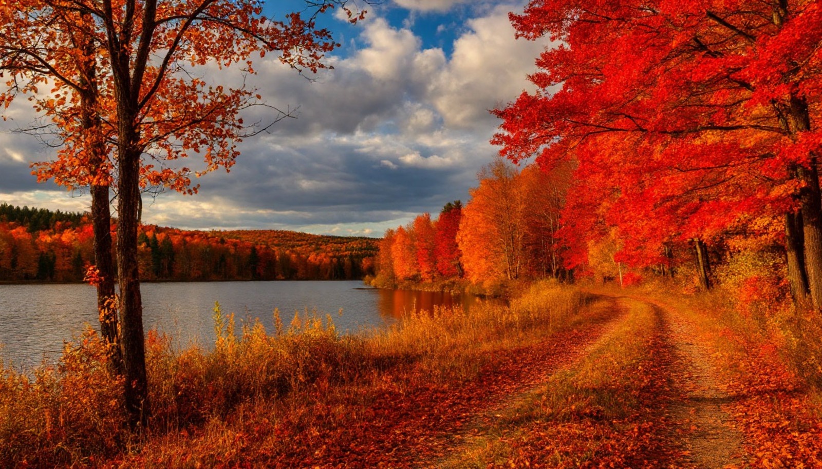 Изображение сгенерировано нейросетью