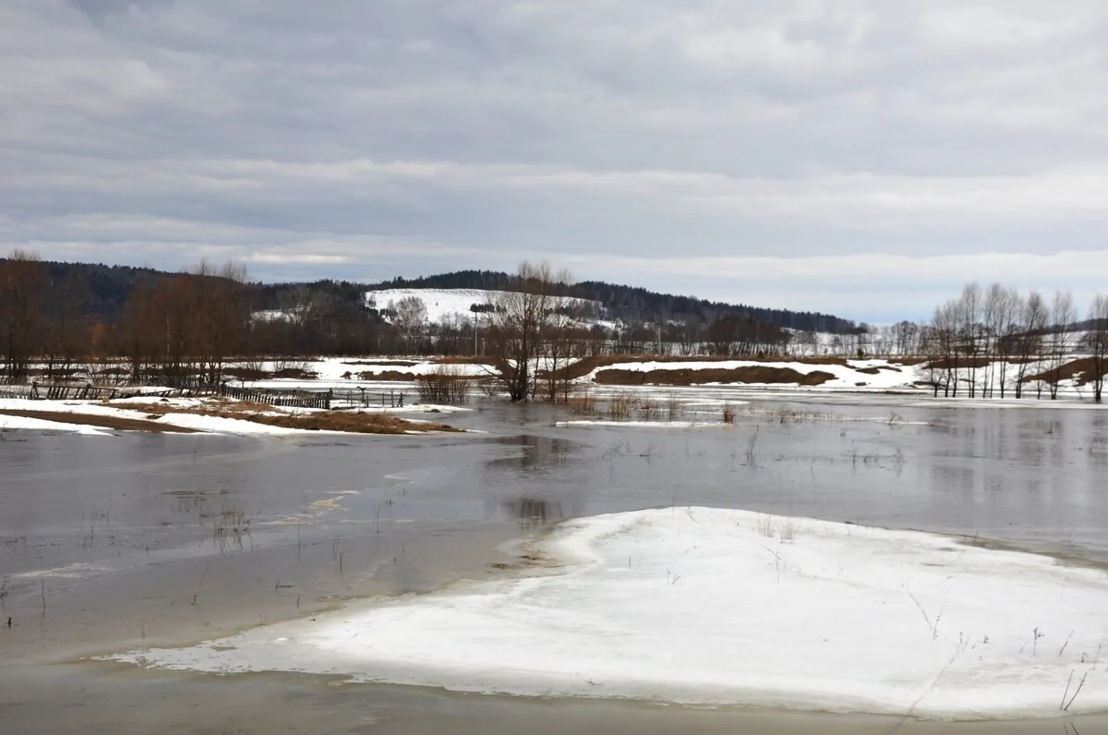 Наркес Халиуллина (Мечетлинская жизнь) Фотобанк СМИ РБ