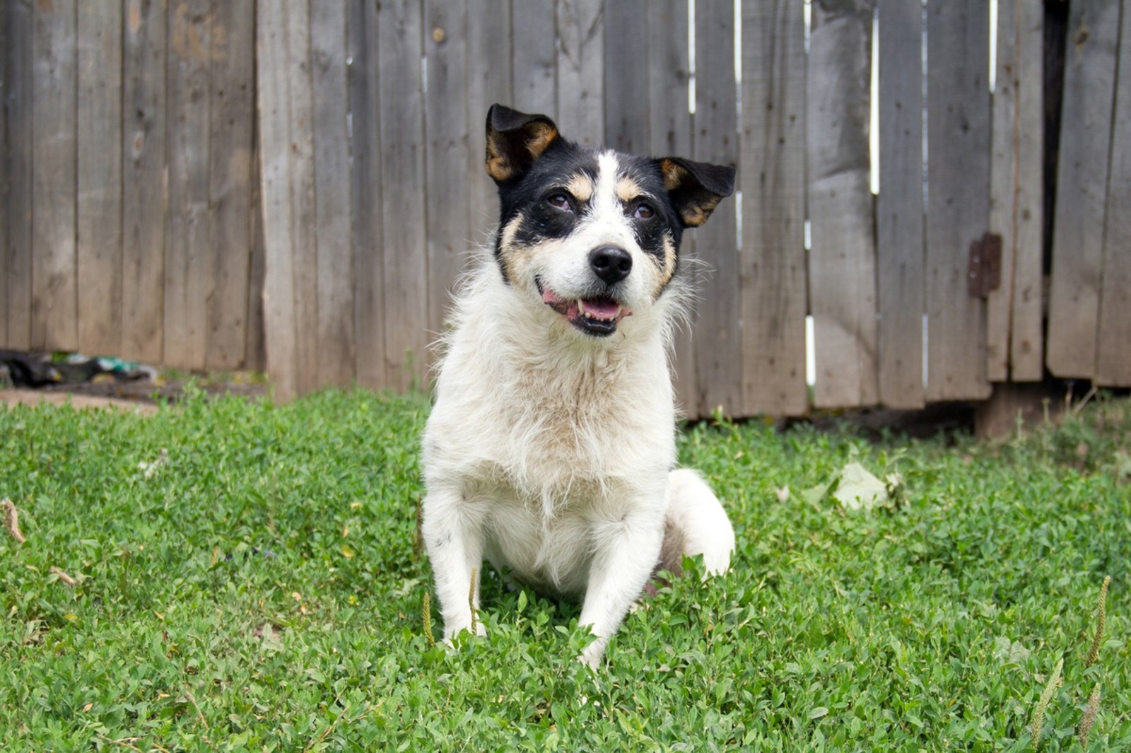 Александр Королев Фотобанк СМИ РБ