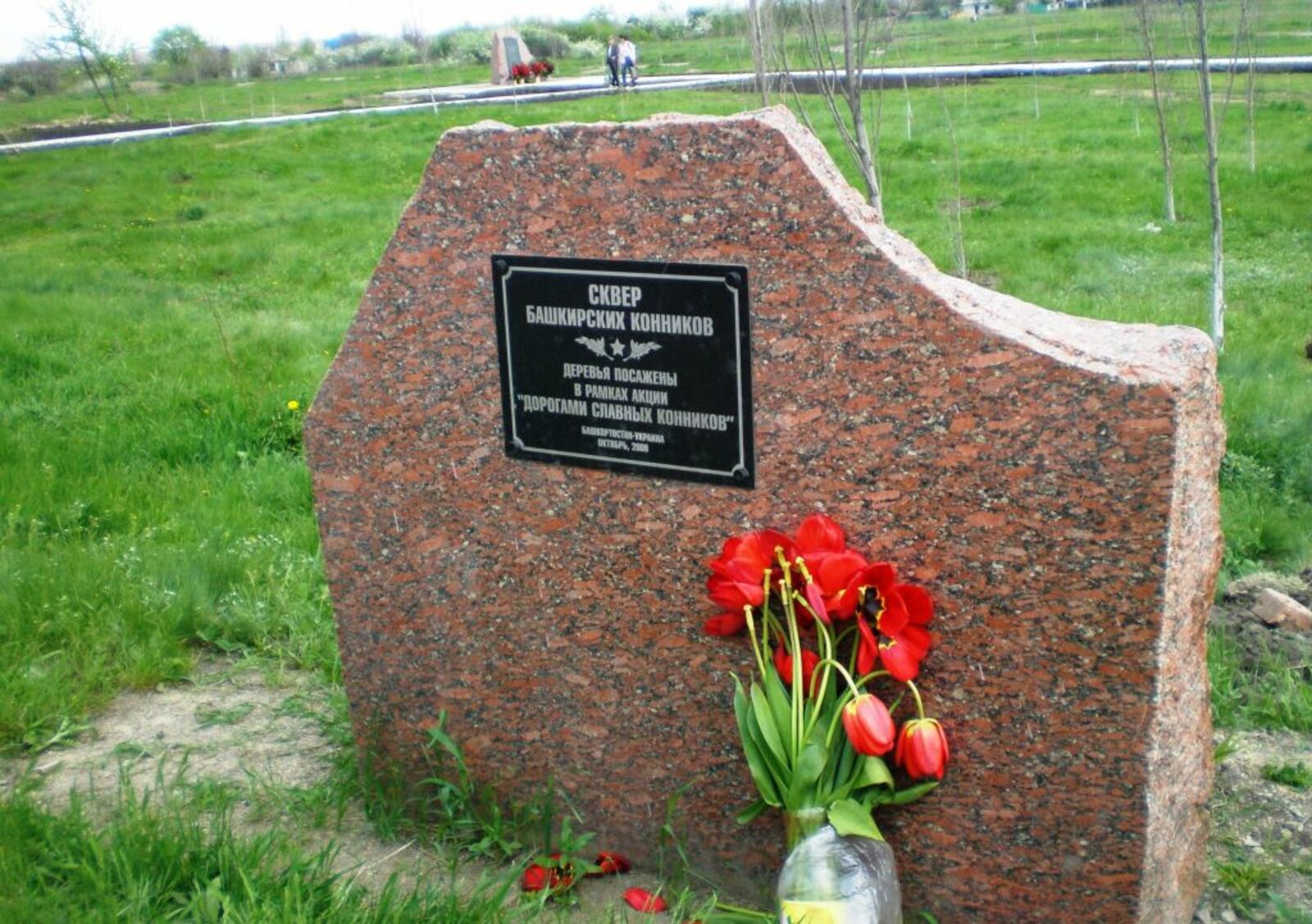 Ильдар Шаяхметов  Автор проекта И. Шаяхметов в г. Петровское, Луганская область (2009 г.).