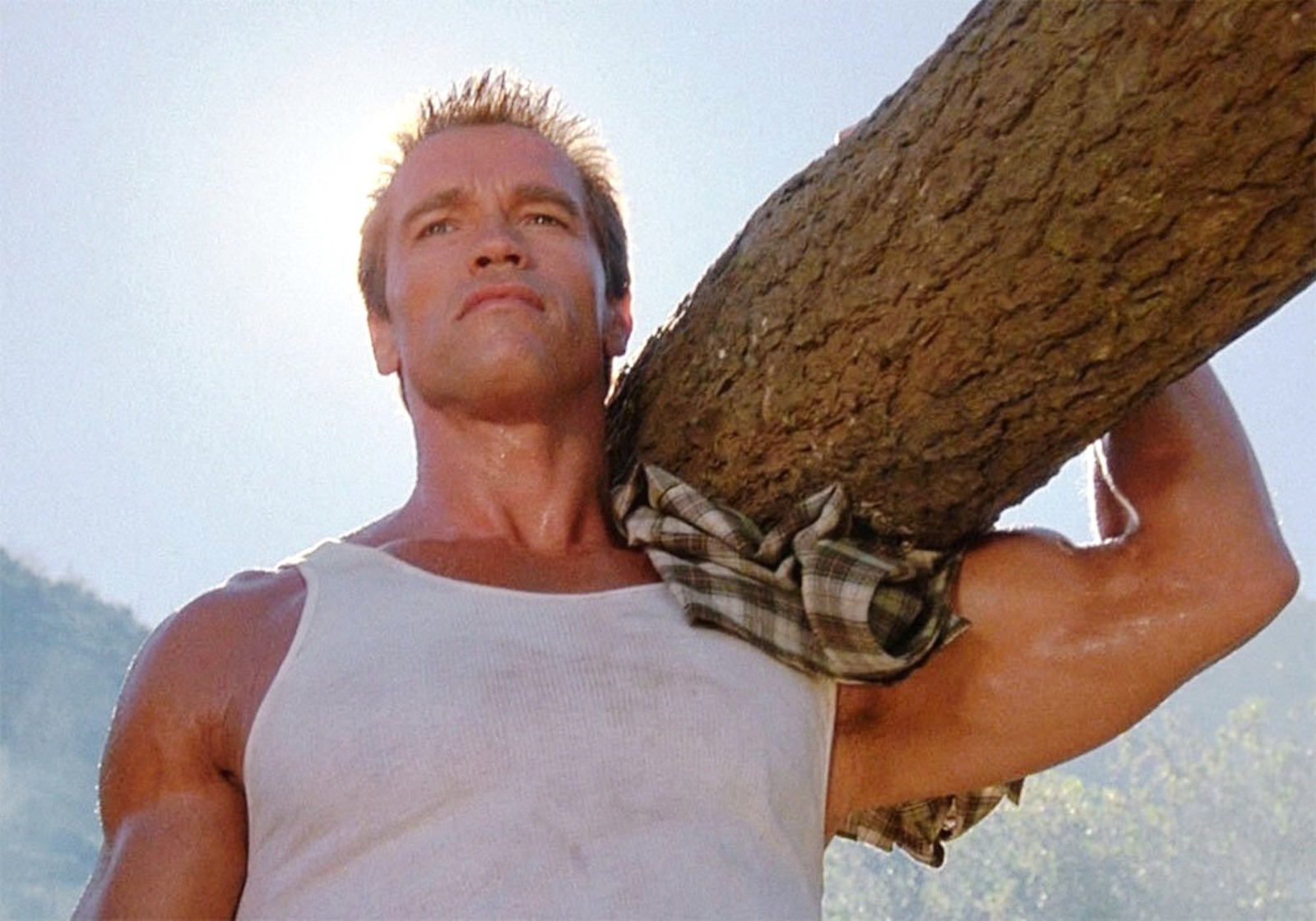 Анекдоты про Арнольда Шварценеггера